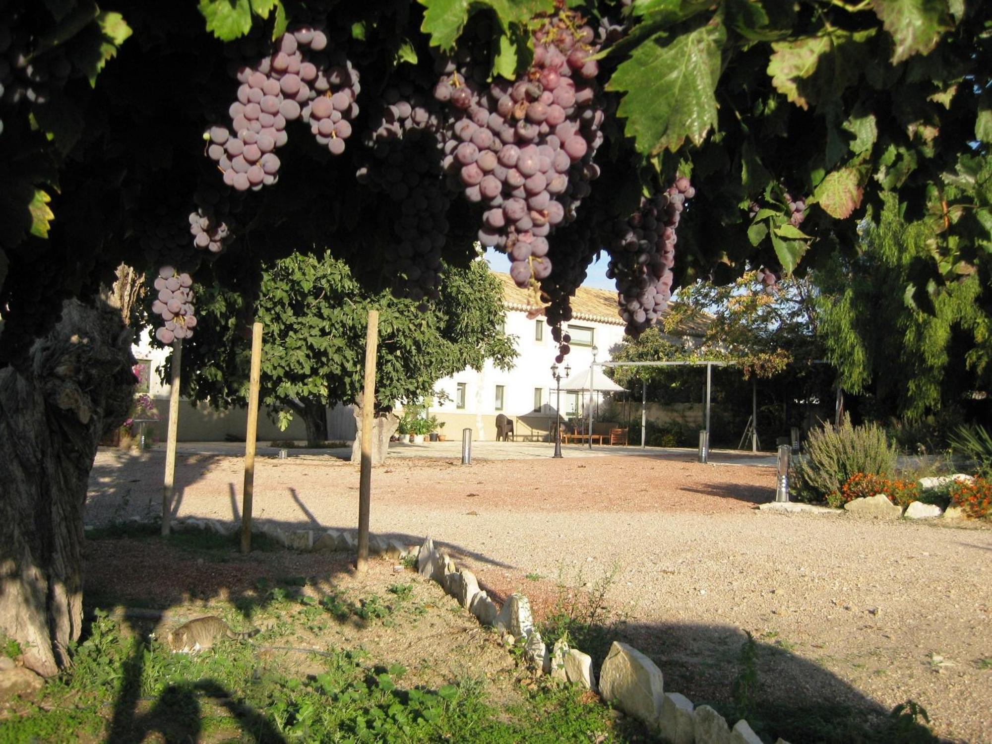 Hotel Jardines De Casablanca à Caravaca De La Cruz Extérieur photo