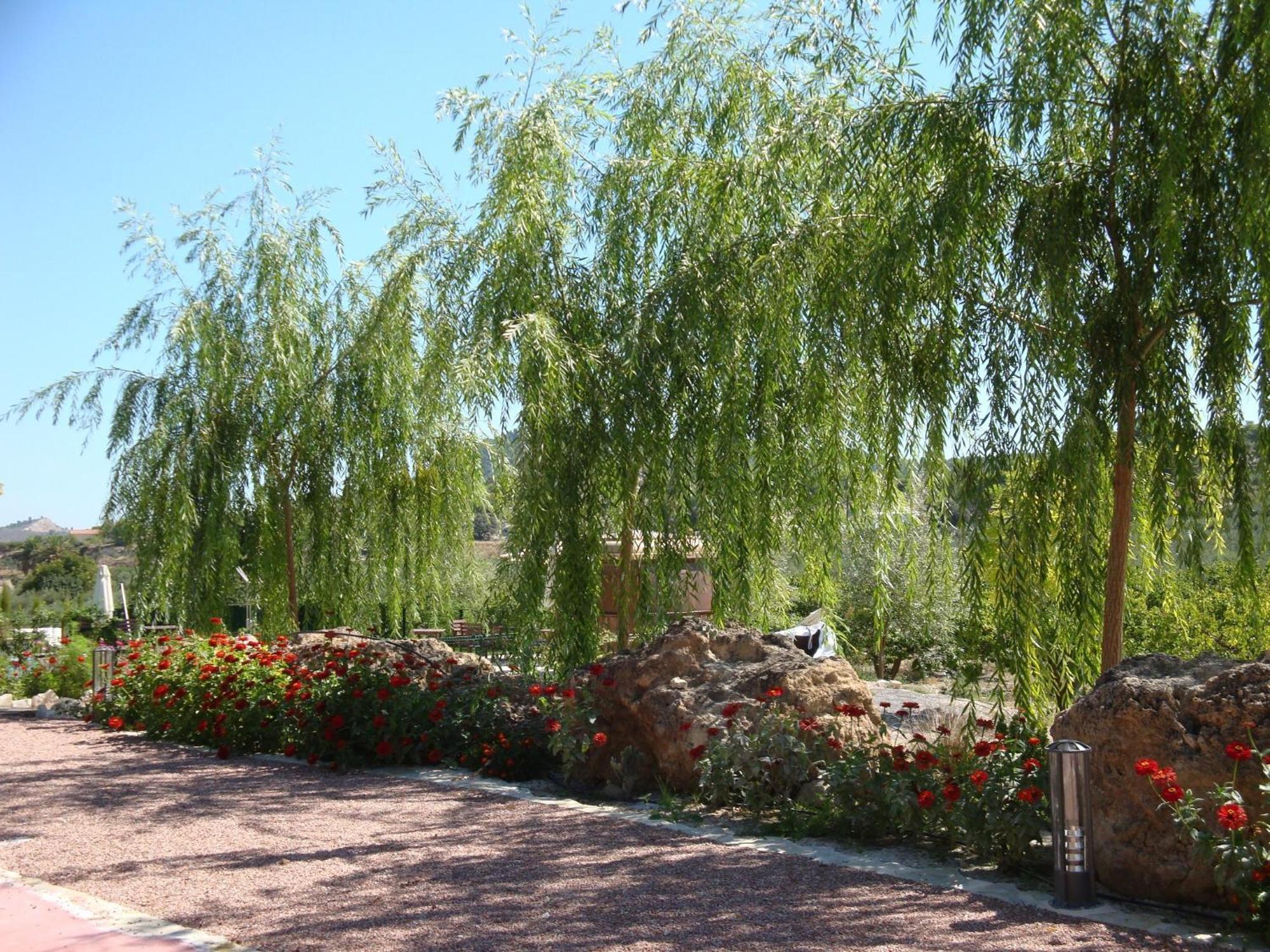 Hotel Jardines De Casablanca à Caravaca De La Cruz Extérieur photo